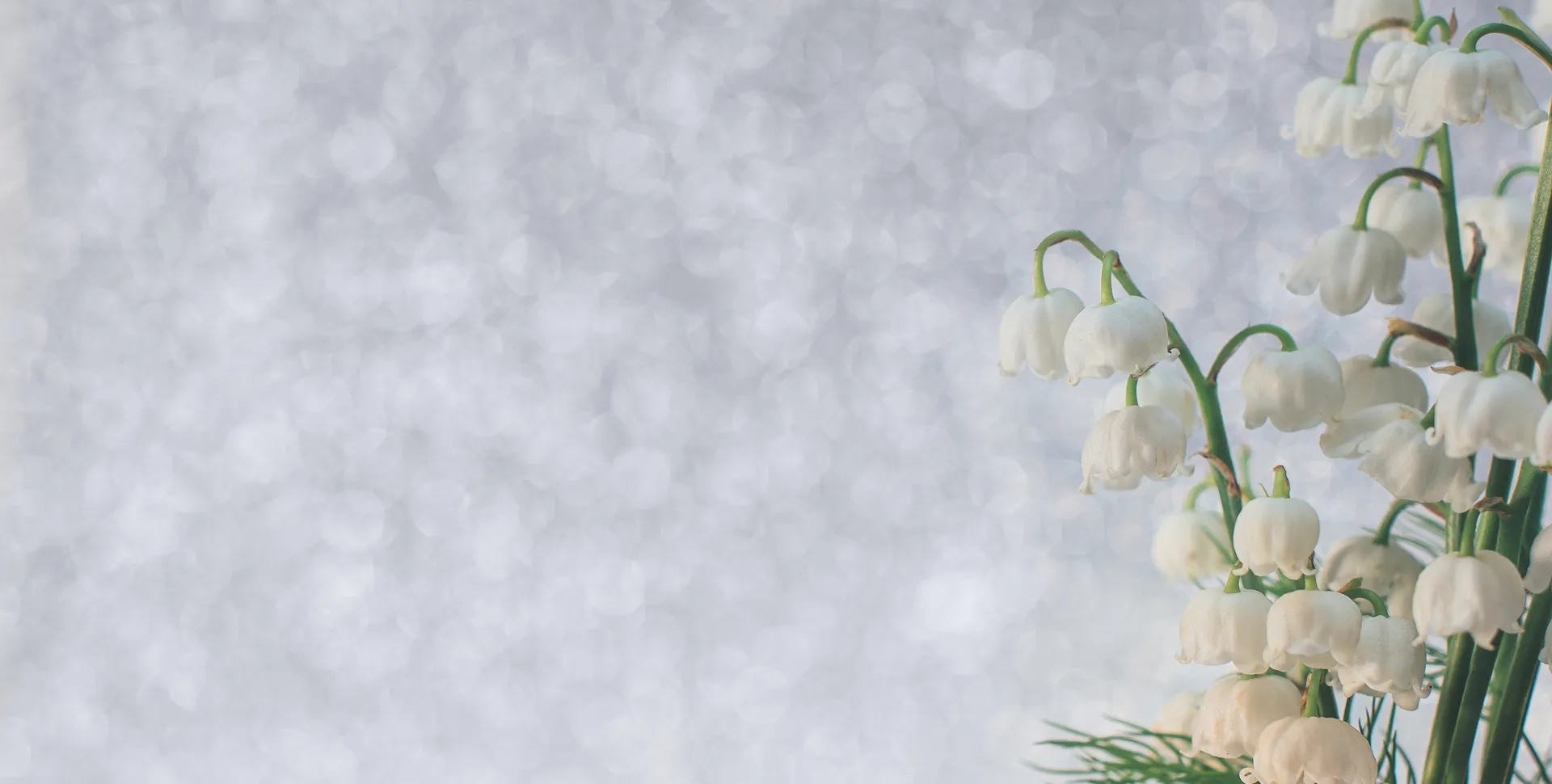 Slater's of Horsforth Limited